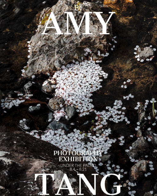 “ BY AMY TANG”   PHOTOGRAPHY EXHIBITION